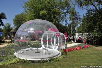 Московский фестиваль цветов