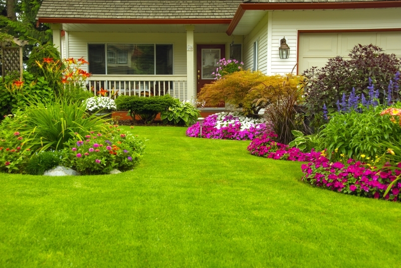 Как украсить двор возле дома - Мир Садоводства